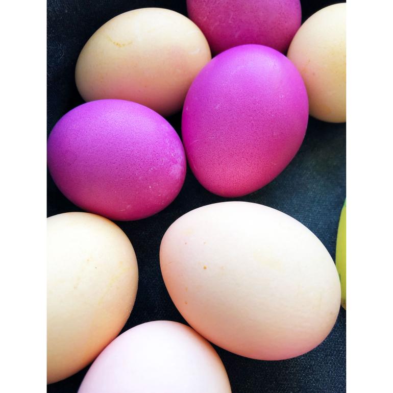 Farve til æg
