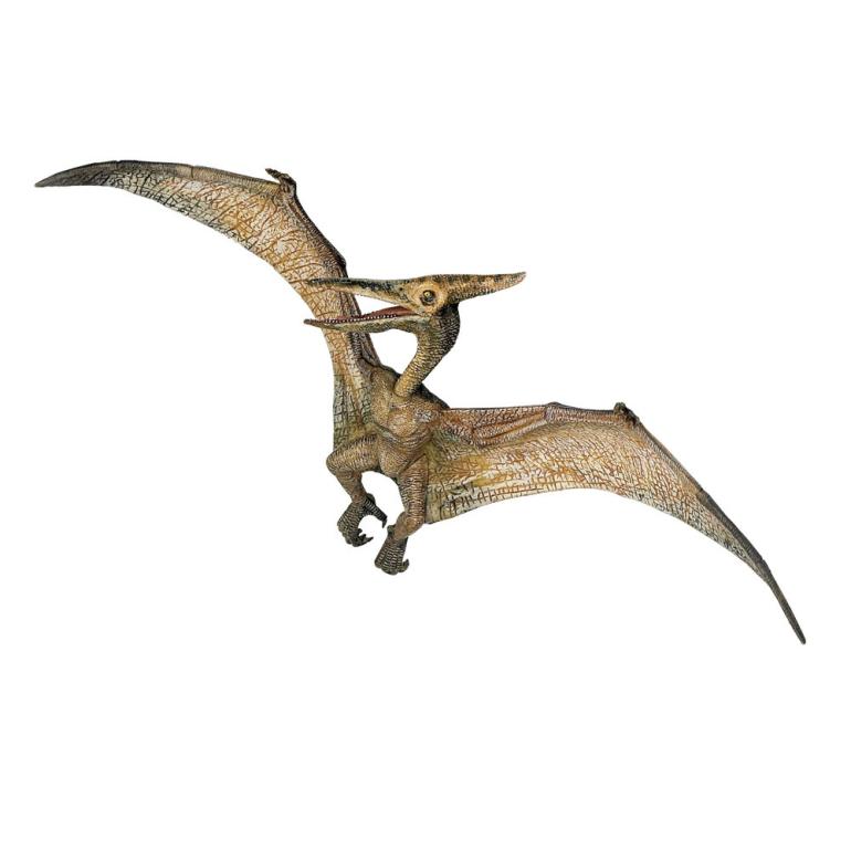 Dinosaur, Pteranodon