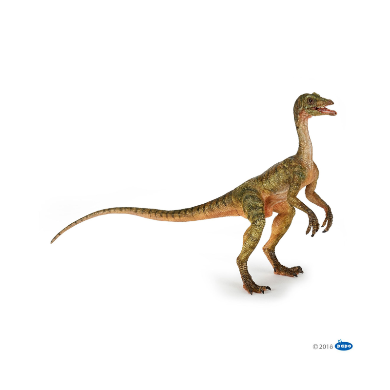 Image of Dinosaur, Compsognathus (2192018)