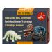 Dino udgravning triceratops