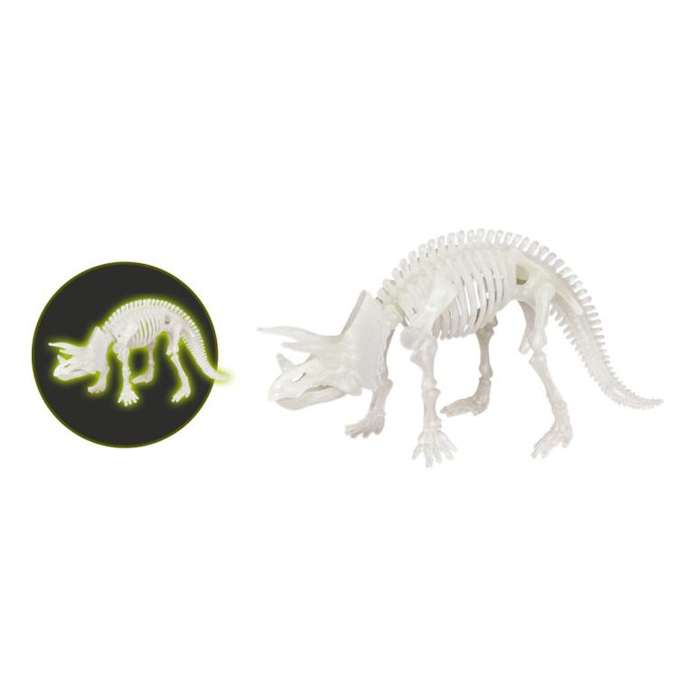 Dino udgravning triceratops skelet der lyser i mørket